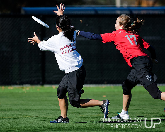 Quasar Alumnae Game - Harvard Ultimate 40th Reunion