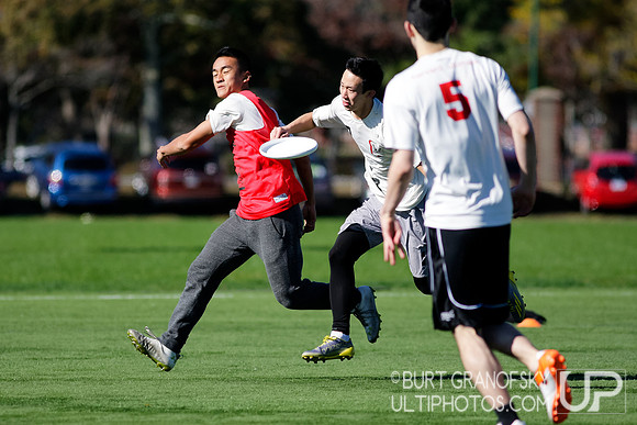 Bredline vs Alumni Game - Harvard Ultimate 40th Reunion