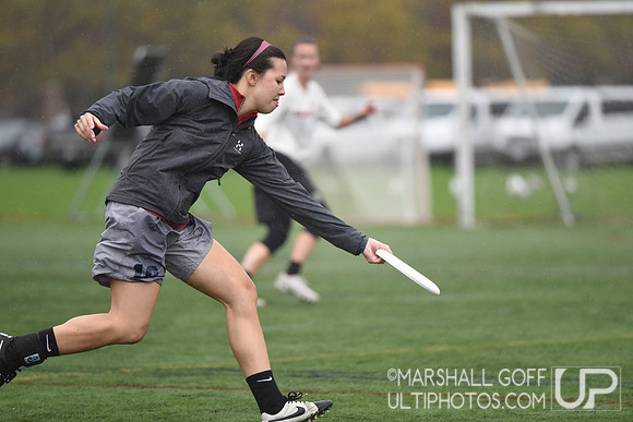 Harvard 40th Ultimate Reunion