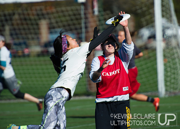 Harvard Ultimate Alumni v. current teams