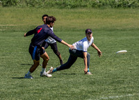 2024 USA Ultimate Division I College Championships ©