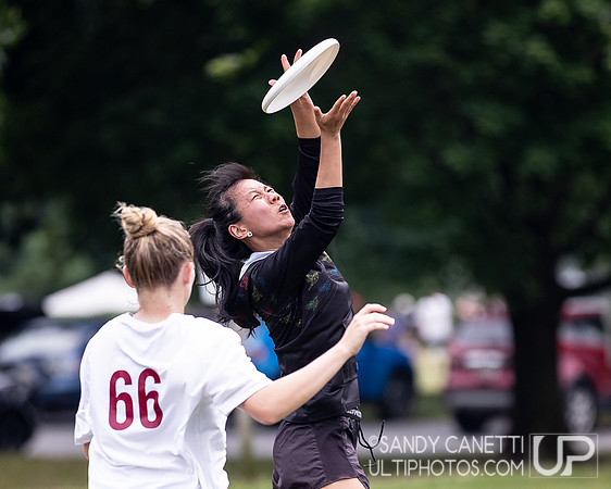 LVU's Disc Days of Summer