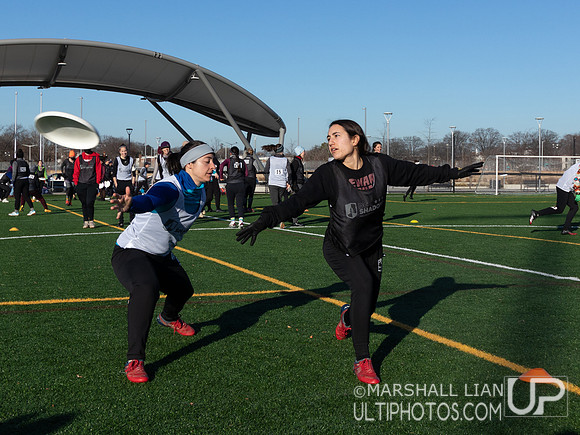 DC Shadow 2022 Tryout #3