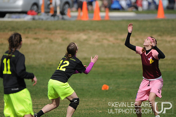 Steakfest Women's Saturday Games