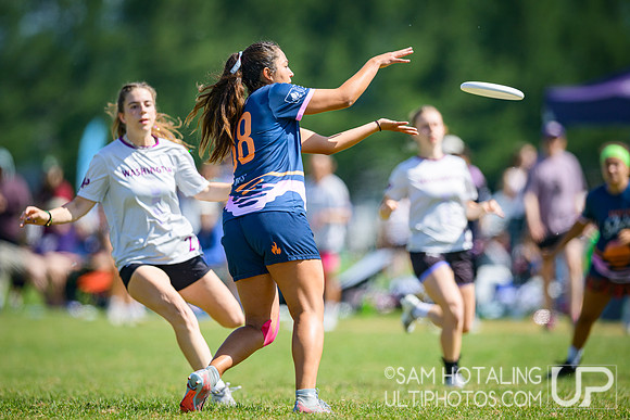 Saturday pool play at USAU D-I College Championships