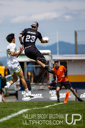 Day 3 of the USA Ultimate D-I College Championships