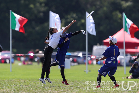 Fury and Swampybarg at the 2022 World Ultimate Club Championships