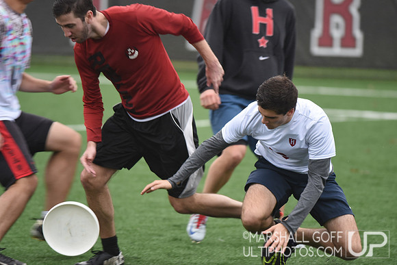 Harvard 40th Ultimate Reunion
