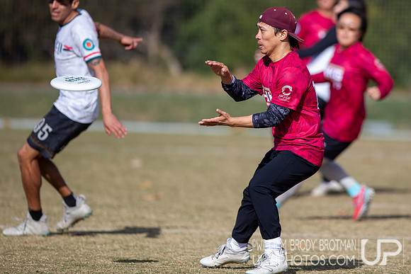 Day 6 of the WFDF 2024 World Masters Ultimate Championships