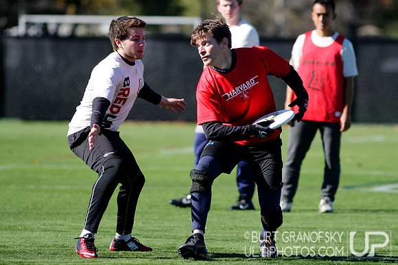 Bredline vs Alumni Game - Harvard Ultimate 40th Reunion
