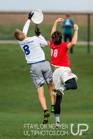 USA Ultimate Club National Championships