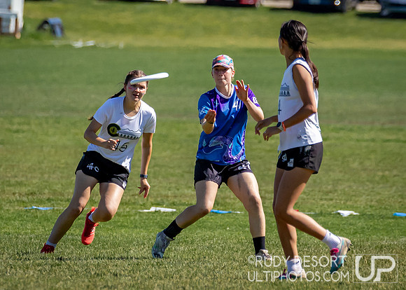 2024 USA Ultimate Division I College Championships ©
