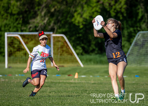 2024 USA Ultimate Division III College Championships ©