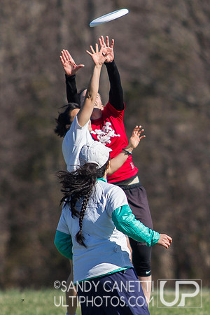 Fools Fest 2014 Sunday Action