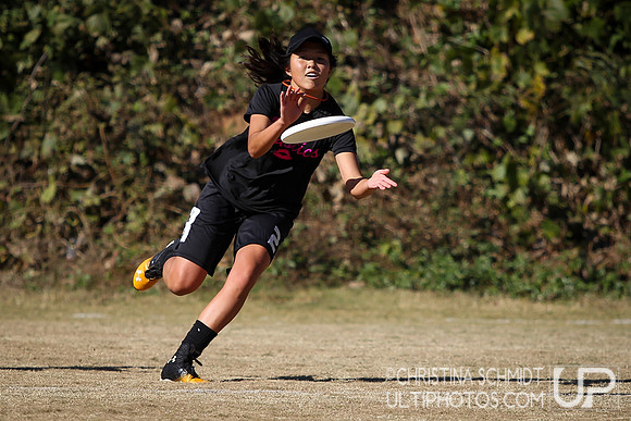 Fall Ultimate League -- 2014