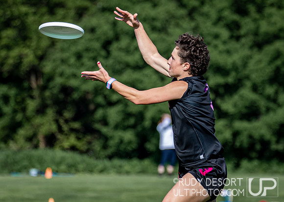 2024 USA Ultimate Division III College Championships ©