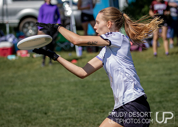 2024 USA Ultimate Division I College Championships ©