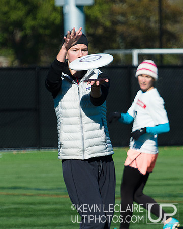 Harvard Ultimate Alumni v. current teams