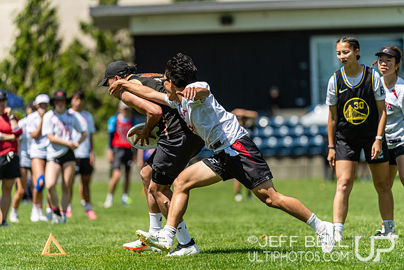 BC Ultimate - Disc Flicker 2024