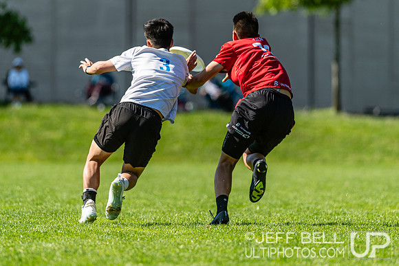 BC Ultimate - Disc Flicker 2024