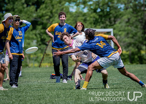 2024 USA Ultimate Division I College Championships ©