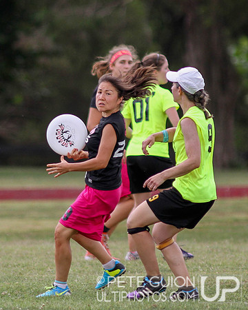 Chesapeake Open