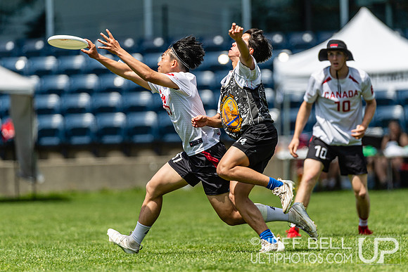 BC Ultimate - Disc Flicker 2024