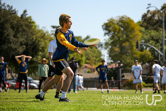 NorCal D1 Conference Championships 2025
