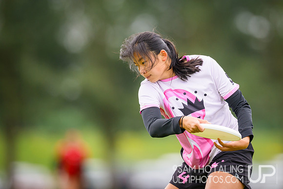 Sunday highlights from USAU D-III College Championships
