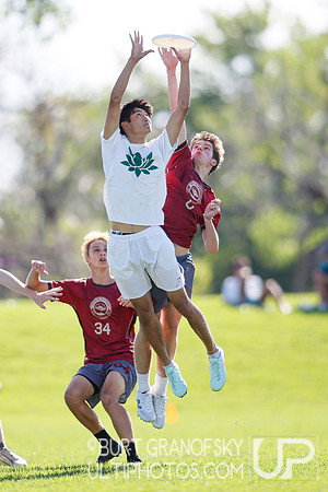USA Ultimate YCC 2025