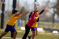 Day 1 of the 2024 WFDF World Masters Ultimate Championships