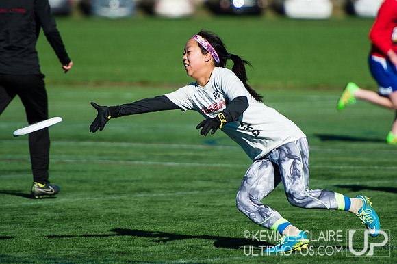 Harvard Ultimate Alumni v. current teams
