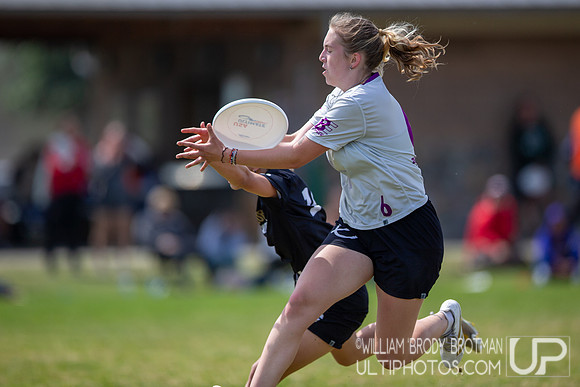 Day 3 of the USA Ultimate D-I College Championships