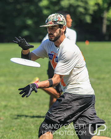 Metro New York Sectionals - Sunday