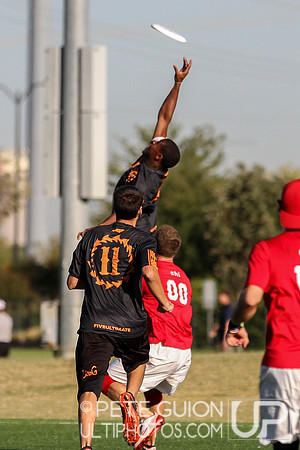 USAU Nationals 2014 Championships