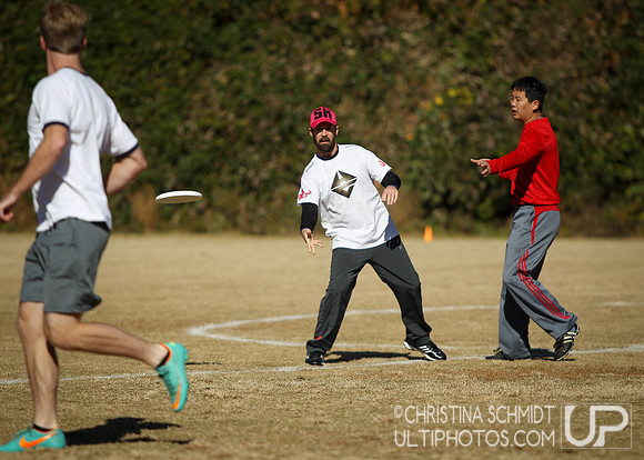 Fall Ultimate League -- 2014