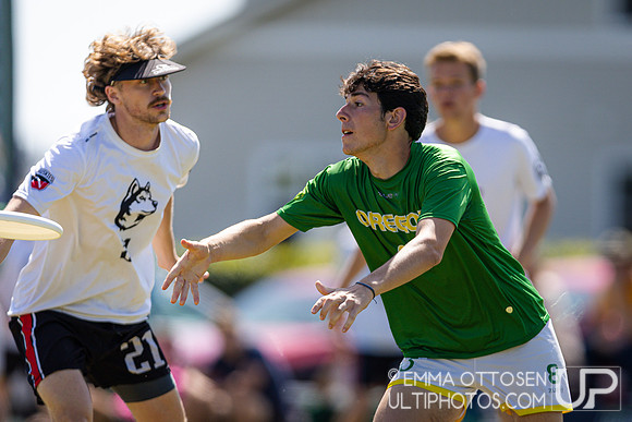 Saturday full coverage from USAU D-I College Championships, Oregon vs Northeastern