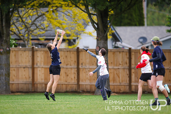 Sunday full coverage from USAU D-IIII College Championships: Round 2