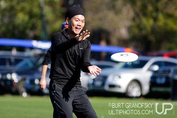Bredline vs Alumni Game - Harvard Ultimate 40th Reunion