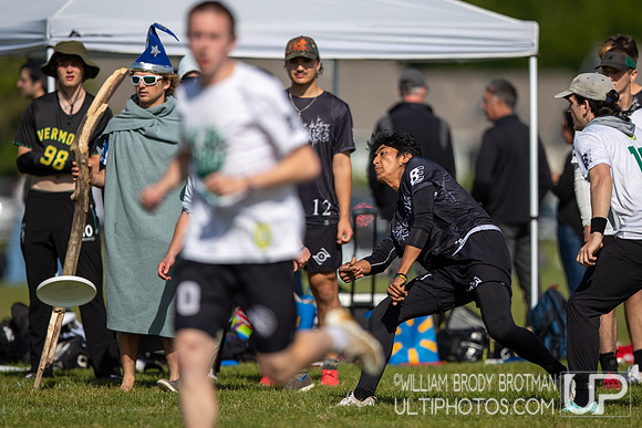Day 2 of the USA Ultimate D-I College Championships