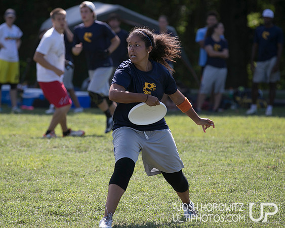 Capital Sectionals Sunday 2014