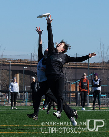 DC Shadow 2022 Tryout #3