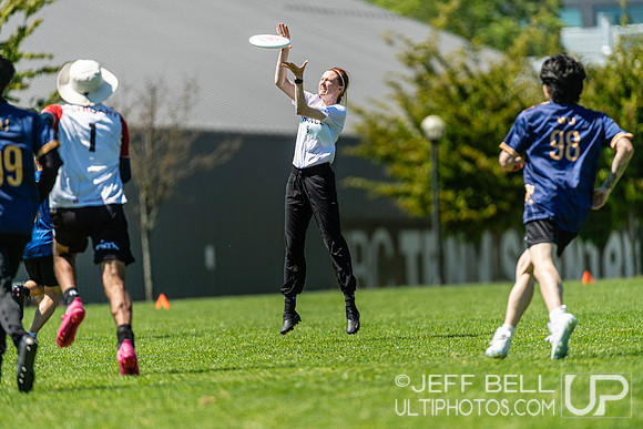 BC Ultimate - Disc Flicker 2024