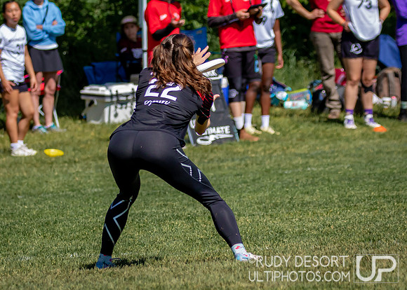 2024 USA Ultimate Division I College Championships ©
