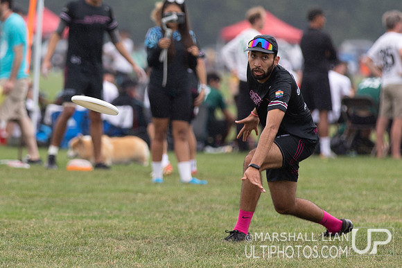 Rhino Slam! v Euforia
