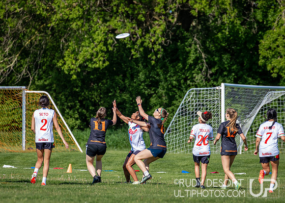 2024 USA Ultimate Division III College Championships ©