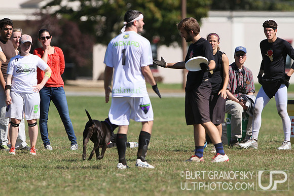 USAU NE Regionals 2013 -- Mixed, Sunday Round 3