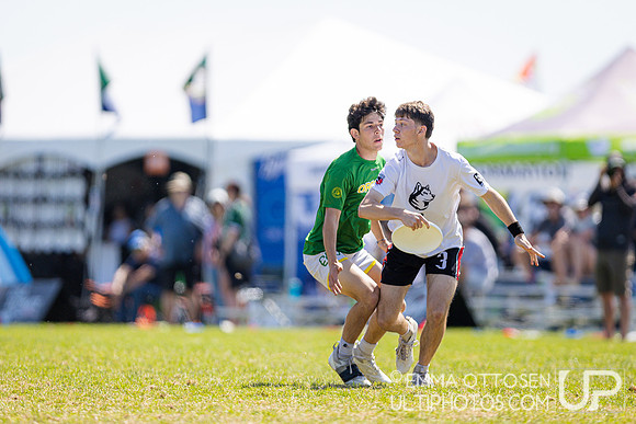 Saturday full coverage from USAU D-I College Championships, Oregon vs Northeastern
