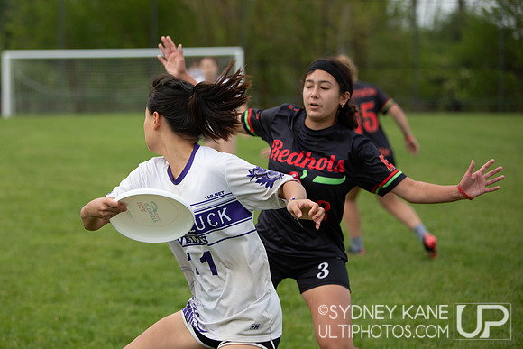 2024 USA Ultimate Division III College Championships