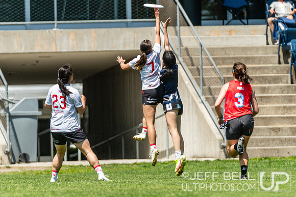 BC Ultimate - Disc Flicker 2024